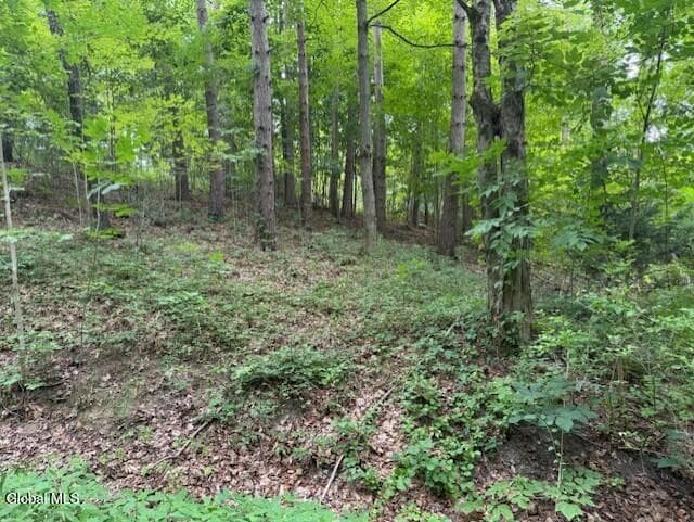 L122.01 Overlook Lane — photo 2