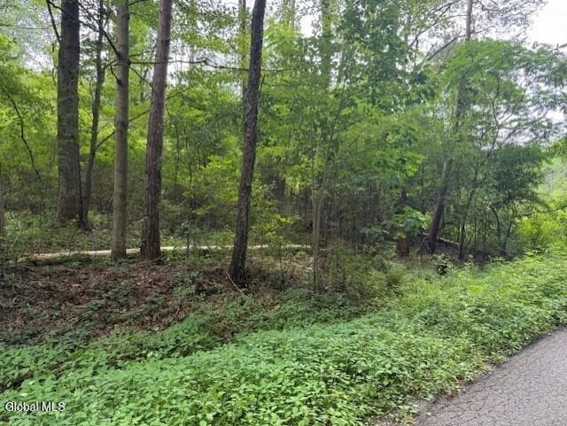 L122.01 Overlook Lane — photo 1