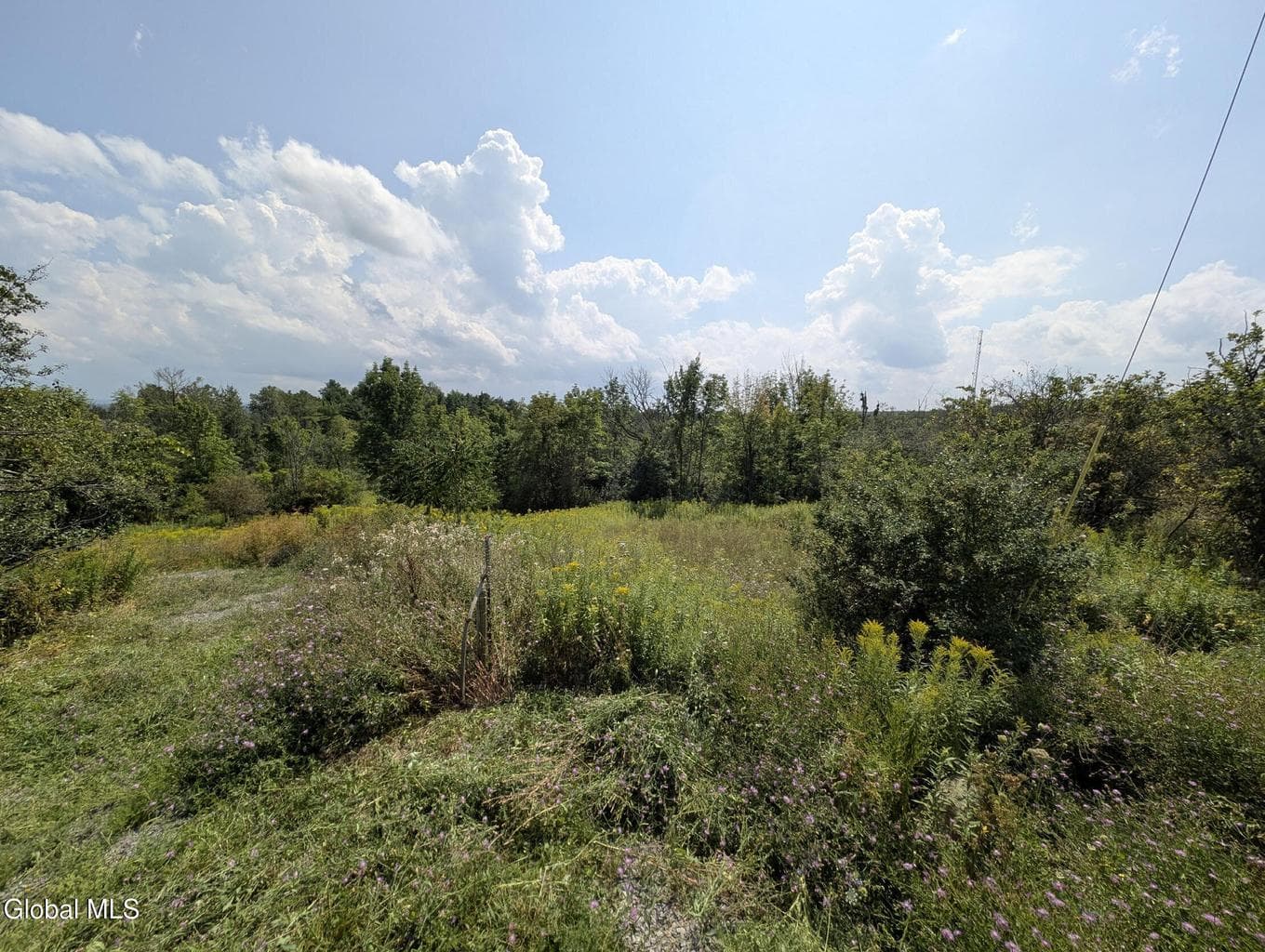 7593 Western Turnpike — photo 2