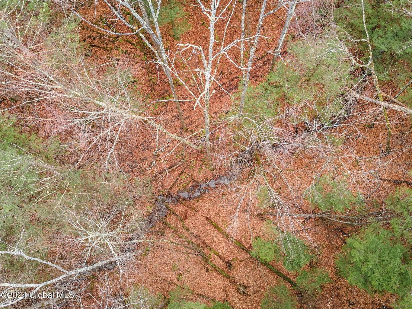 L18.1 Engle Road — photo 2